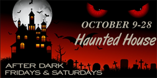 Dark Red Eyes Themed Haunted House Promotional Banner